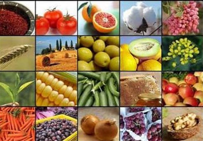 صادرات ۱۵ محصول کشاورزی آزاد شد