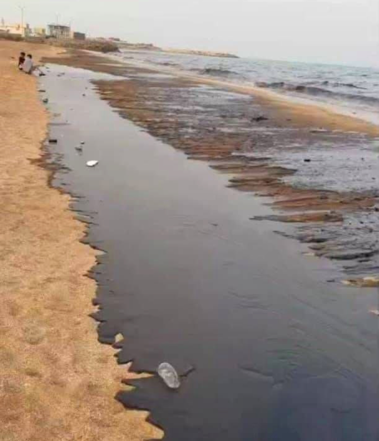 بیش از ۳هکتار سواحل قشم الوده به نفت 