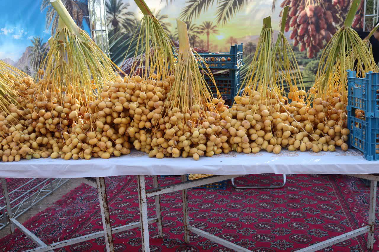 ارسالی شما: جشنواره «نخل و خرما» در کارون 